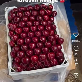Reklamda Gösterilen Taze Ürünler Gerçekte Bozulmuş Ve Yanıltıcı