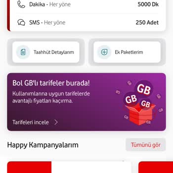 Faturalı Hatta 40 GB İçin 870 TL Ücret Ve İnternet Donma Sorunları