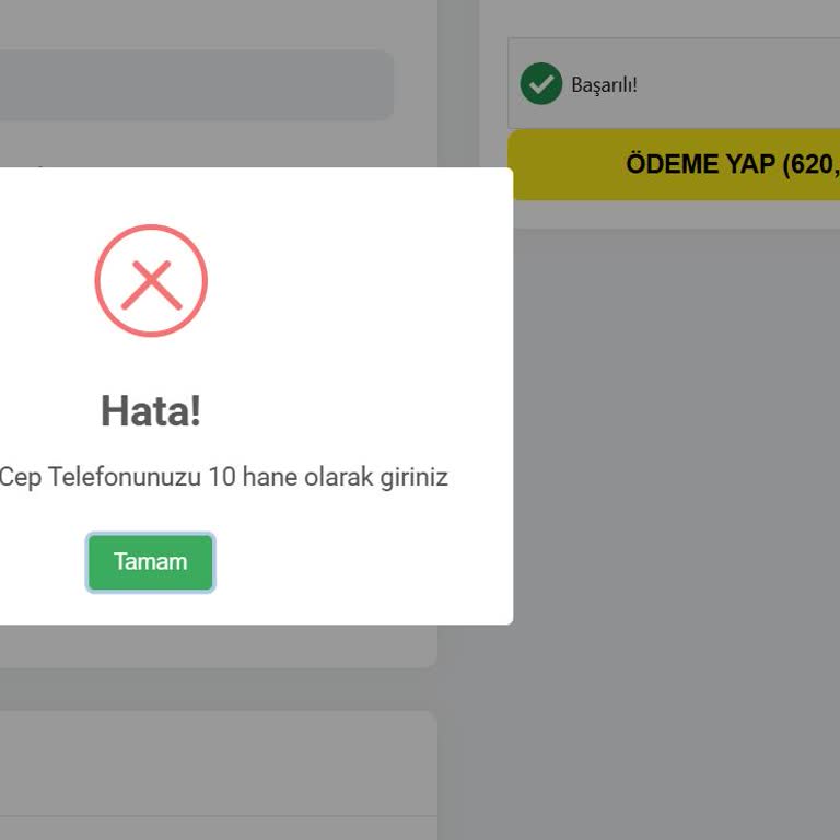 Geçersiz Kod Hatası Nedeniyle Yanıltıcı Kampanya Gösterimi