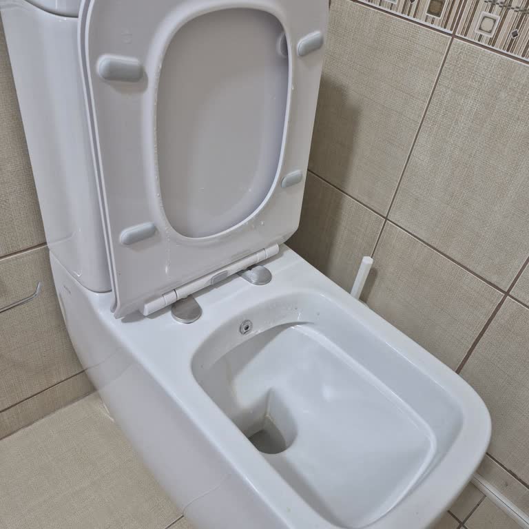Vitra Kanalsız Klozet S25 Modelinde Tasarım Hatası Nedeniyle Hijyen Sorunu Ve İade Reddi