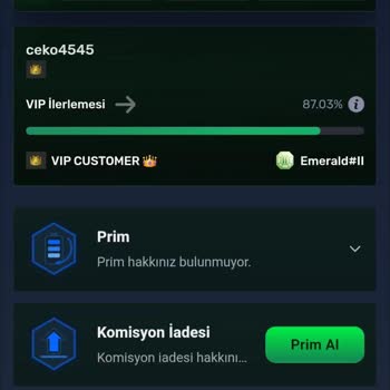 Eksik 300 Dolar Bonus Ve VIP Seviyemin Haksız Düşürülmesi