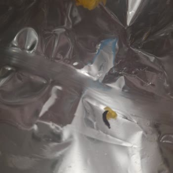 Ruffles Cipsinde Kızarmış Kurt Bulunması Ve A101 Müşteri Hizmetleri Yanıtsızlığı