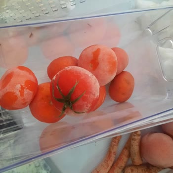 Aşırı Donan Buzdolabının Sürekli Arızası Ve Değişim Talebi