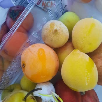 Aşırı Donan Buzdolabının Sürekli Arızası Ve Değişim Talebi