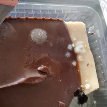 Şok Market’ten Küflü Tatlı Ürünü İçin Sağlık Riski Ve Geri Ödeme Talebi