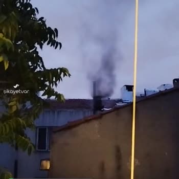 Bakırköy Belediyesi Mağdur Ediliyoruz, Belediye İlgilenmiyor