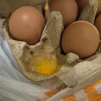 Migros Hemen'de Kırık Yumurtalar İçin Değişim Sözünün Yerine Getirilmemesi