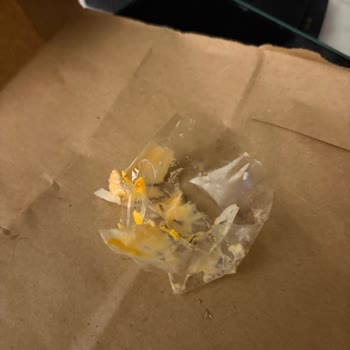 Getir Üzerinden Sipariş Edilen Hamburgerde Plastik Parça Bulunması