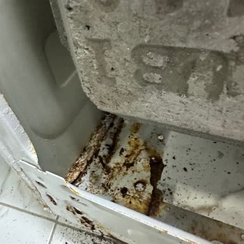 Arçelik Çamaşır Makinesinin Gövdesindeki Aşırı Paslanma Ve Garanti Reddi