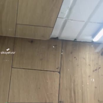 Mavi Ankamall Şubesinin Hali