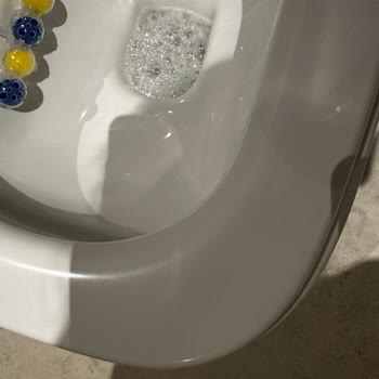 Domestos Kullanımından Klozet Kapaklarında Renk Bozulması Ve Değişim Talebi