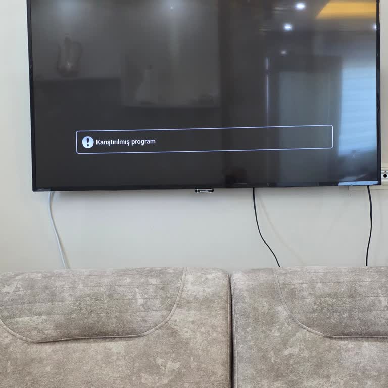 Philips Televizyonda TRT 2 Ve Diğer Kanallarda Karıştırılmış Program Sorunu