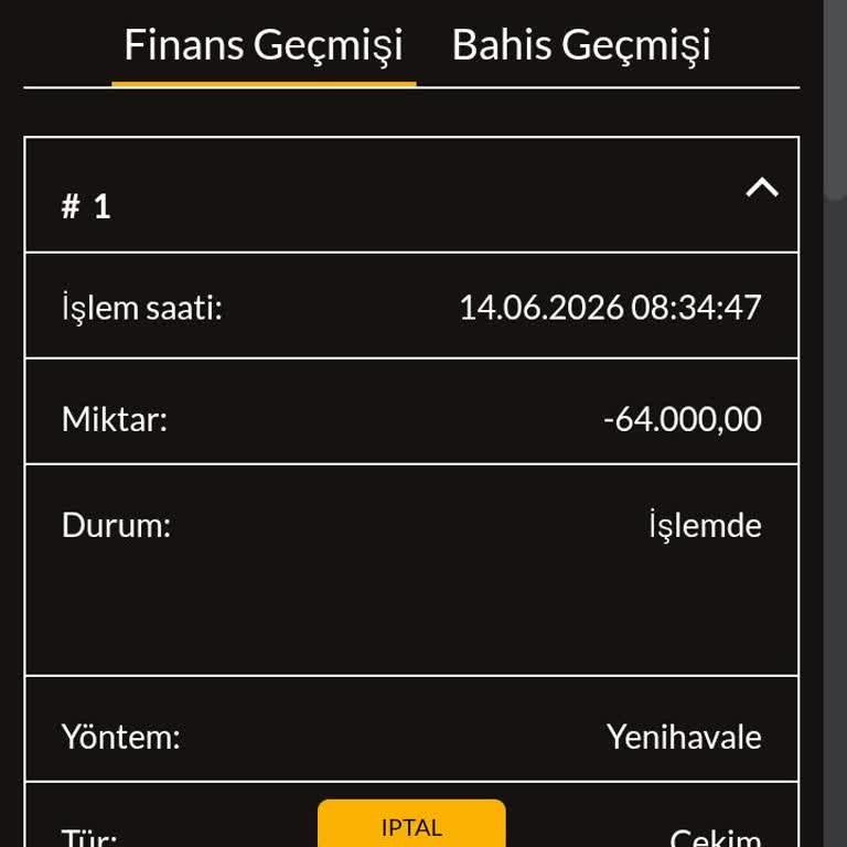 64.000 TL Havale Çekiminde Gecikme Ve Destek Sorunu