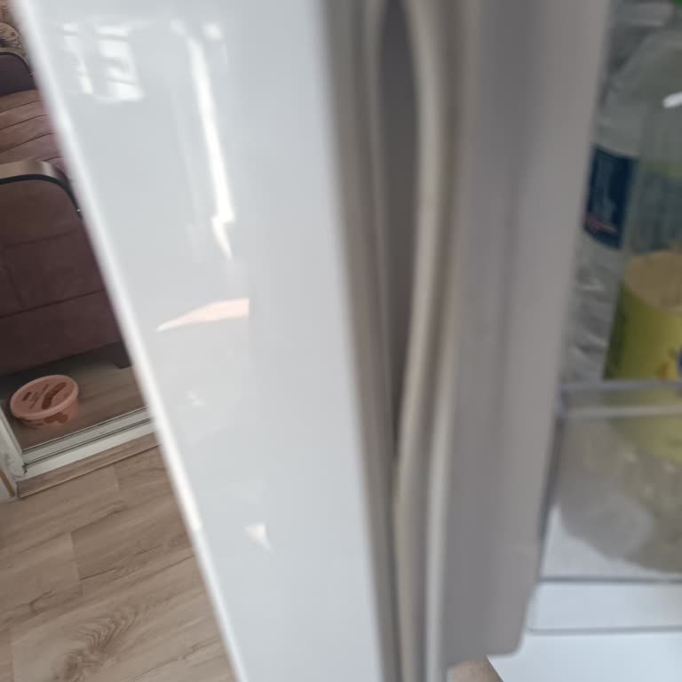 Regal Buzdolabının Üst Kapak Lastiğindeki Yırtık İçin Garanti Değişim Talebi