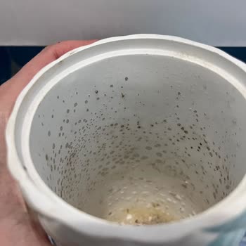 Ayıplı Neptün Banyo Seti: Değişim Ve Özür Talebi