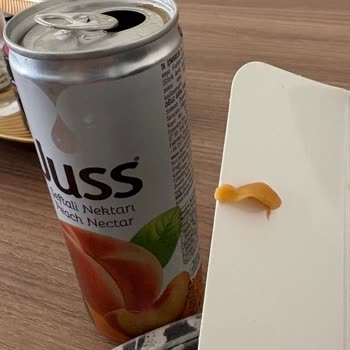 Şeftali Suyunda Yabancı Madde Ve Hijyen Sorunu