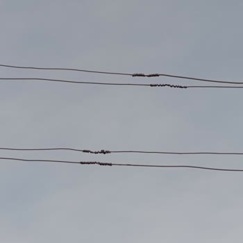 Tufa Küme Evlerinde Sürekli Elektrik Kesintileri Günlük Hayatı Boğuyor