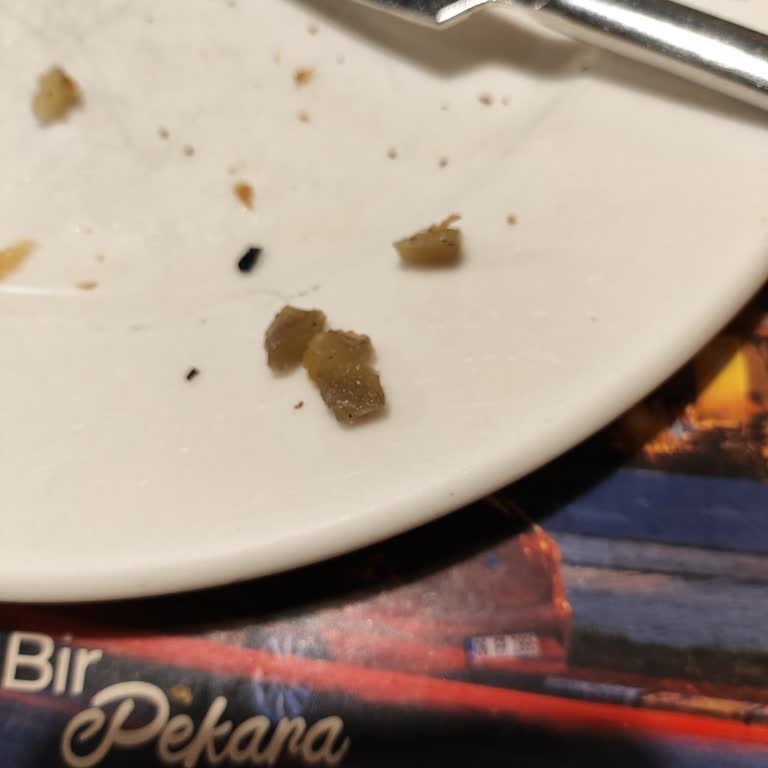 Patatesli Börekte Kararmış Ve Bayat Patates Şikayetim