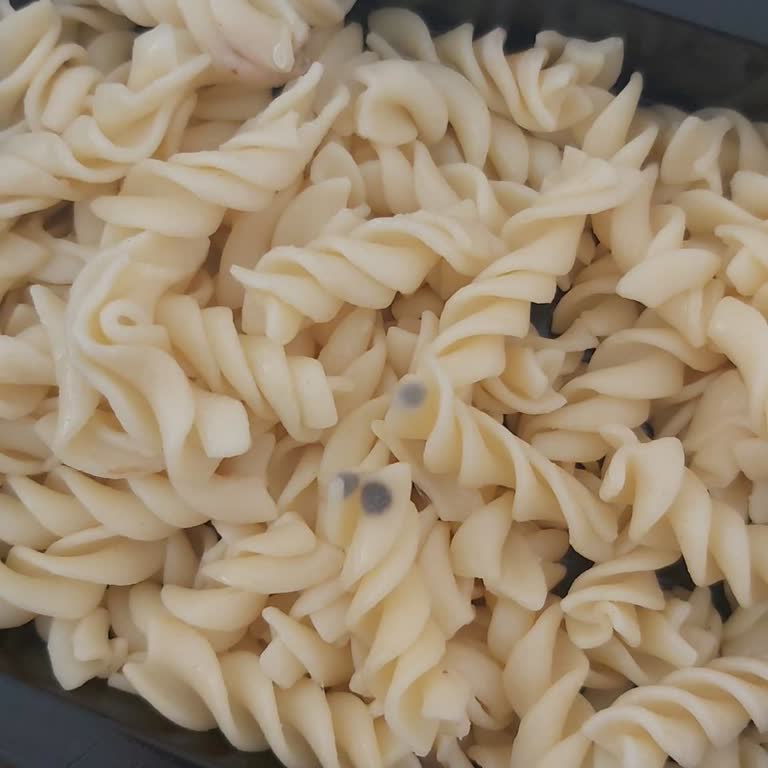 Küflenmiş Ürünlerin Evde Günlerce Bekletilmesi Ve Çözüm Üretemeyen Müşteri Hizmetleri