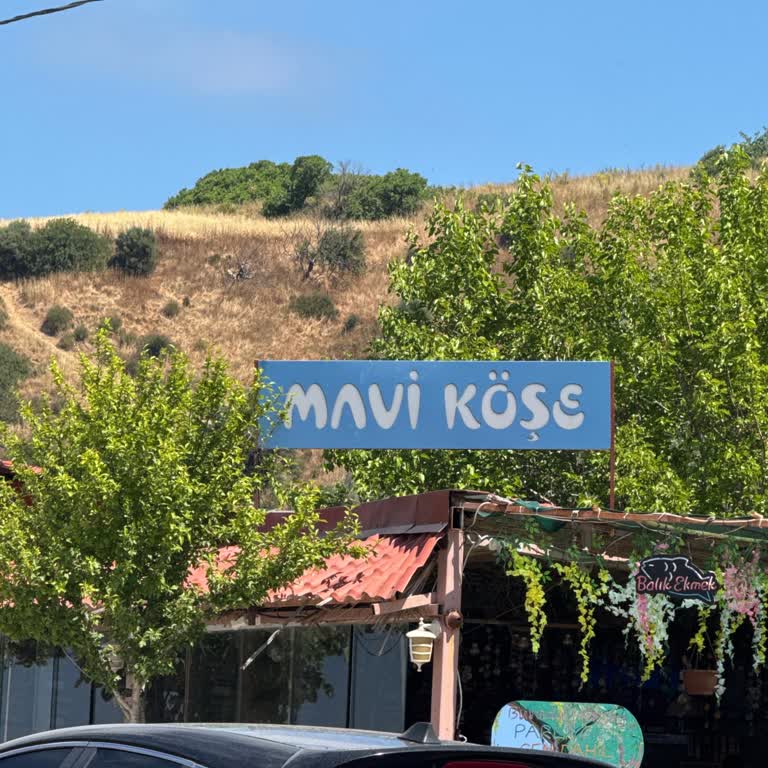 Mavi Köşe (Mudanya) Çocuklarımızın Lavaboyu Kullanmasına Dahi İzin Verilmedi