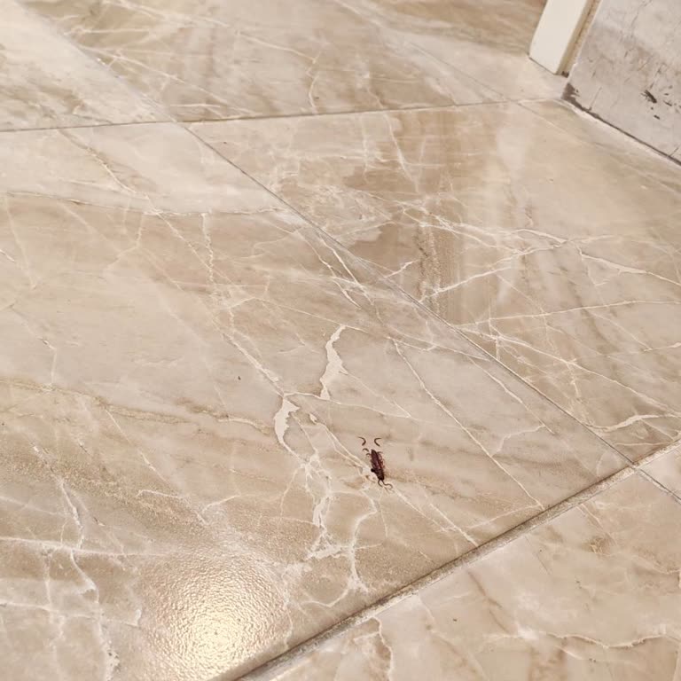 Yoğun Koku Ve Temizlik Sorunları Konaklamamı Mahvetti