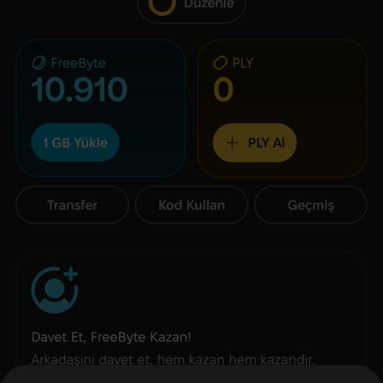 Freebyte Kullanımındaki Sistem Hatası