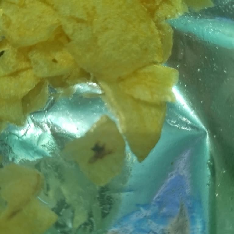 Lays Cipsinde Böcek Bulunması: Gıda Güvenliği Şikayeti