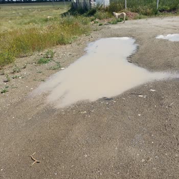 Gölbaşı Gökçehöyük’te Gölet Ve Çamur Sorunu Çözülmüyor