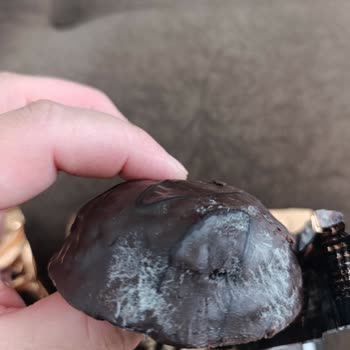 Torku Çikolatalı Kekte Küflenme Ve Sağlık Riski
