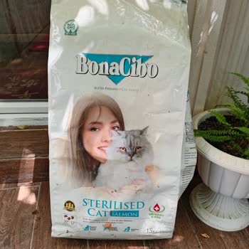 Temiz Mama Kedi Mamasında Taş Parçaları Ve Sağlık Endişesi