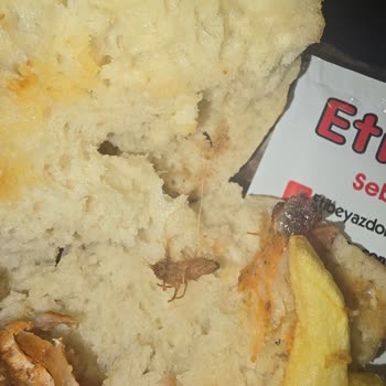 Yemeksepeti Etibeyaz Dönerinde Böcek Bulunması ve Hijyen İhmali