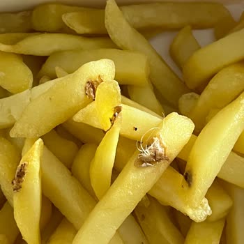 Köfteci Yusuf'tan Çiğ Ve Kirli Patates Kızartması