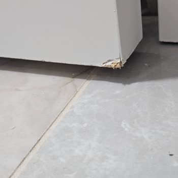Teslimi Geciken Ve Hasarlı Kapılar İçin İade Talebi