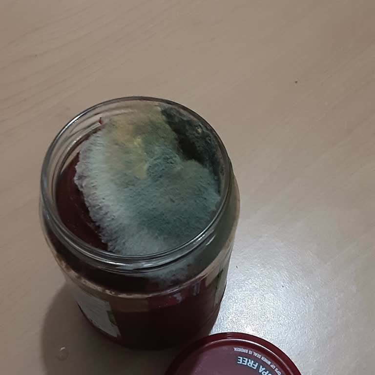 Kapağı Açılmayan Salçada Küflenme Ve Hijyen Sorunu