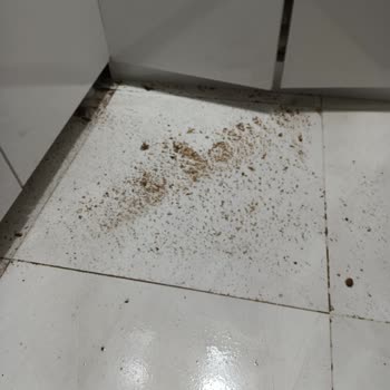 Kanalizasyon Suyunun Tekrarlayan Taşkını Ve Yönetimin Sessizliği