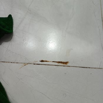 Kanalizasyon Suyunun Tekrarlayan Taşkını Ve Yönetimin Sessizliği