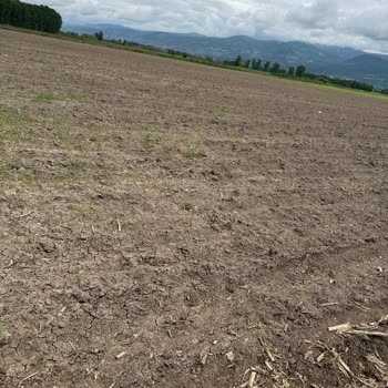 Sel Felaketinde TARSİM’in Tam Ret Kararı Mağduriyeti Gideremiyor