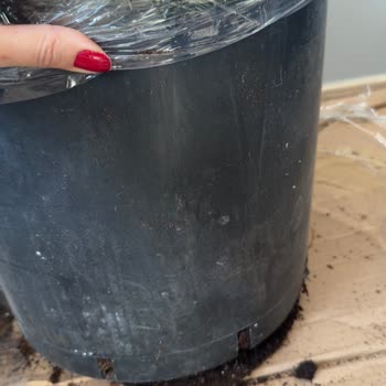 Yurtiçi Kargo Teslimatında Bildirimsizlik Ve Çiçek Hasarı