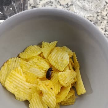 Eki aç