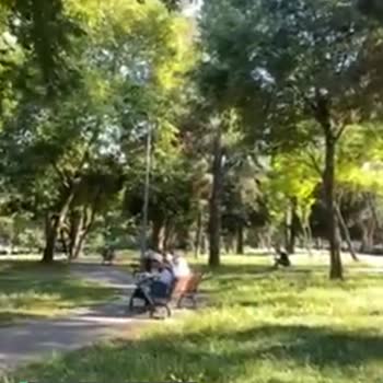 İstanbul Büyükşehir Belediyesi Cemil Topuzlu Parkına Tuvalet Yapılmıyor!