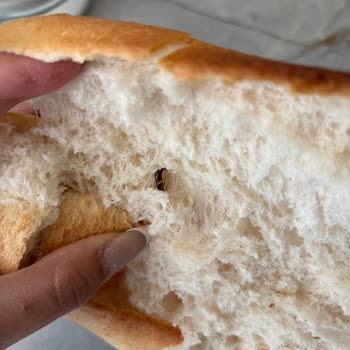 Ekmekte Canlı Böcek Bulunması Hijyen Ve Güvenlik Endişesi