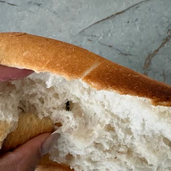 Ekmekte Canlı Böcek Bulunması Hijyen Ve Güvenlik Endişesi