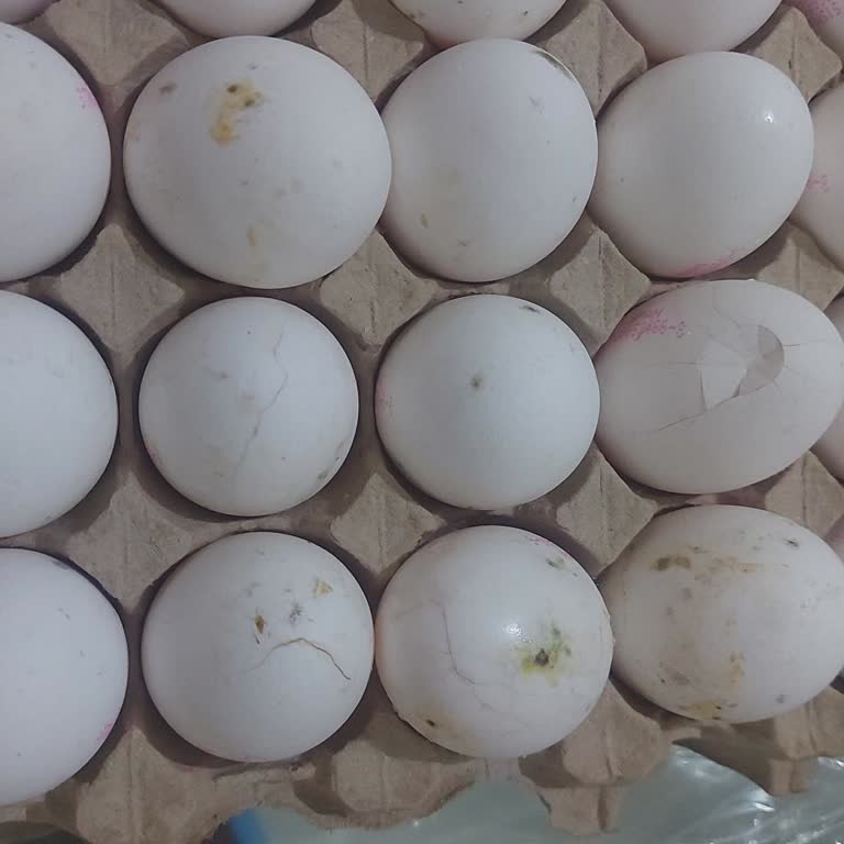 Mamak BİM Şubesinde Çatlak Ve Yeşilimsi Lekeli Yumurta İçin İade Talebi