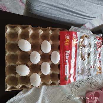 Türe Yumurta Paketinde Tekrarlanan Kırık Ve Çatlak Sorunu: İade Talebi