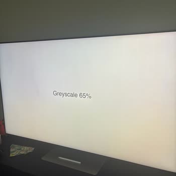 Gri Lekeler Ve Yetkili Servisin 42 Bin TL Fiyatı