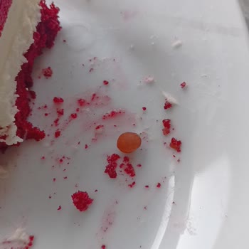 Yabancı Madde Sapan Harras Buzlu Pastada Diş Sorunu Ve İade Talebi