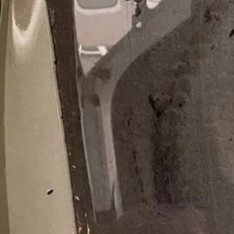 Fiat Egea Bagajında Sürekli Su Alması Ve Ücretsiz Onarım Talebi