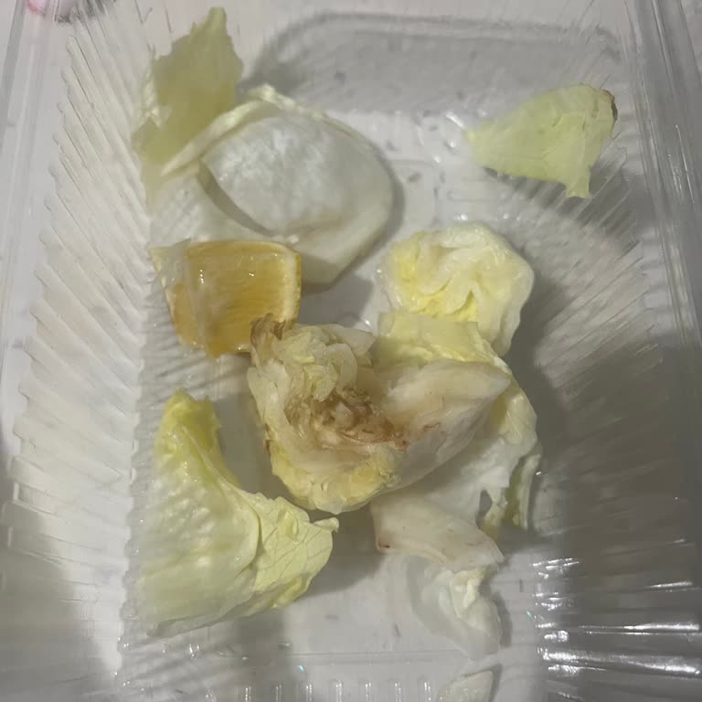 Komagene Siparişlerinde Eksik Sos Ve Bozuk Salata Malzemeleri