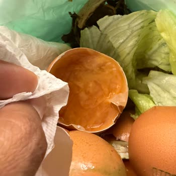 Organik Yumurta Bozuk Çıktı Sağlık Riski Ve Güven Sorunu