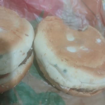 Küflü Whopper Menülerle Çocuğum Zehir Tehlikesi Altında